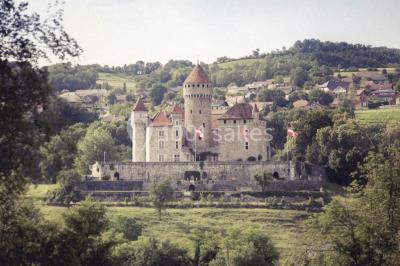 Location salle Lovagny (Haute-Savoie) - Château De Montrottier #19