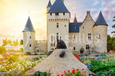 Location salle Lémeré (Indre-et-Loire) - Château Du Rivau #24