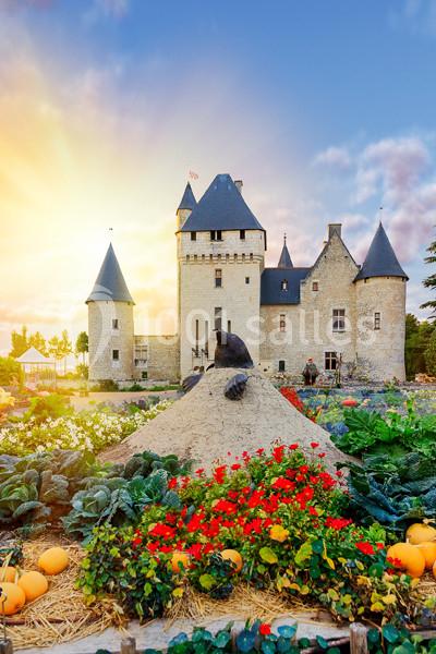 Location salle Lémeré (Indre-et-Loire) - Château Du Rivau #6