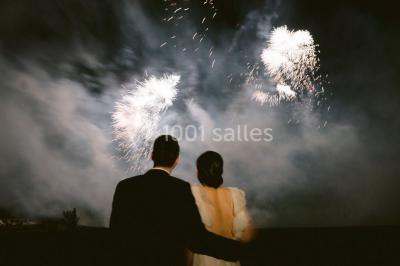 Location salle Villecien (Yonne) - Château du Fey #24