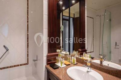 Location salle Strasbourg (Bas-Rhin) - Hilton Strasbourg #18