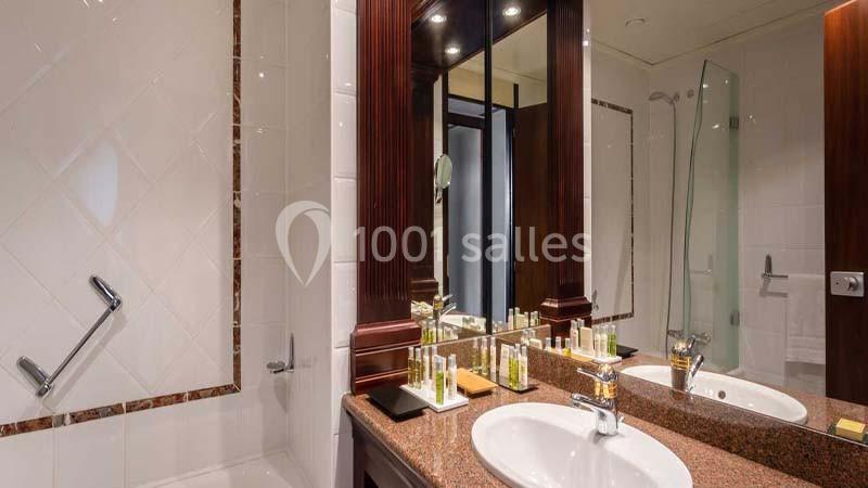 Location salle Strasbourg (Bas-Rhin) - Hilton Strasbourg #17