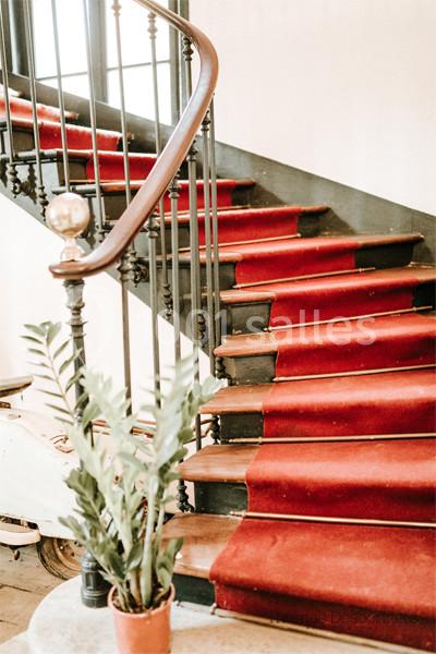 Escalier en bois avec tapis rouge, rampe en métal noir et plante verte en pot au premier plan.