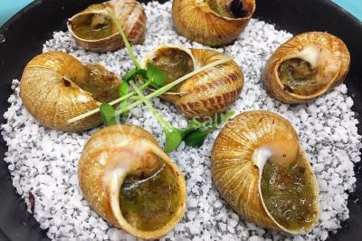 Location salle Grasse (Alpes-Maritimes) - Lougolin #19