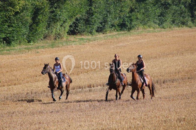 Location salle Nesles-la-Vallée (Val-d'Oise) - Domaine Le Grand Paris #14
