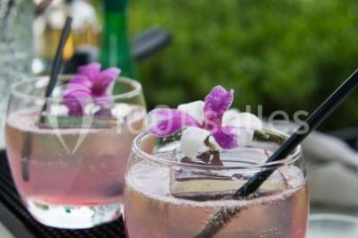 Location salle Paris 16 (Paris) - Pavillon Des Princes #20