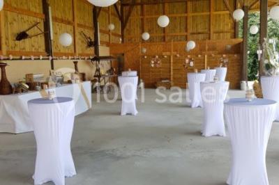 Paysage champêtre avec pelouse verdoyante, arbres en arrière-plan et buissons fleuris sous un ciel bleu dégagé.