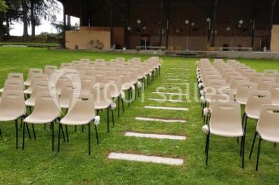 Paysage champêtre avec pelouse verdoyante, arbres en arrière-plan et buissons fleuris sous un ciel bleu dégagé.