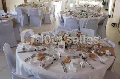 Paysage champêtre avec pelouse verdoyante, arbres en arrière-plan et buissons fleuris sous un ciel bleu dégagé.