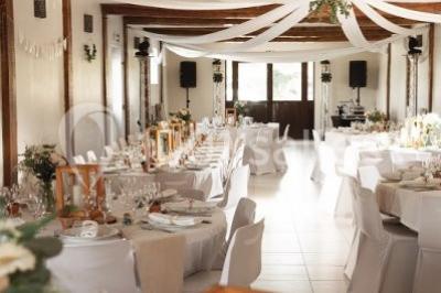 Paysage champêtre avec pelouse verdoyante, arbres en arrière-plan et buissons fleuris sous un ciel bleu dégagé.
