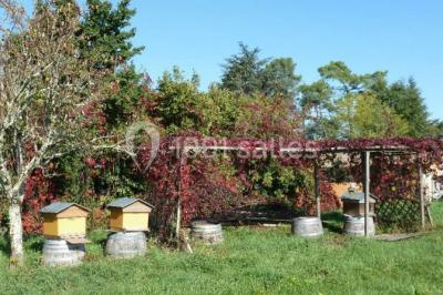 Miniature Location salle Latresne (Gironde) - Château Pascot #15 Location salle Latresne (Gironde) - Château Pascot #16