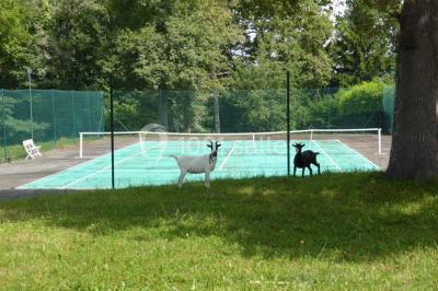 Location salle Jurançon (Pyrénées-Atlantiques) - Domaine Ollé Laprune #22