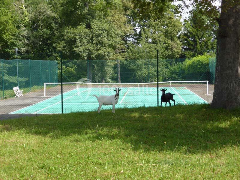 Location salle Jurançon (Pyrénées-Atlantiques) - Domaine Ollé Laprune #16
