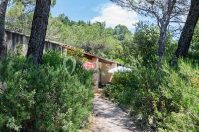 Des personnes allongées sur des transats sous des parasols, profitant du soleil près d'une piscine.