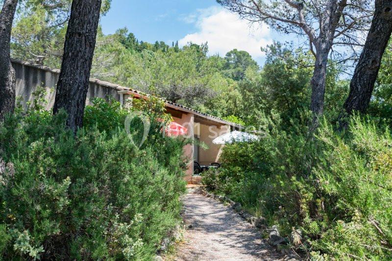 Chemin bordé de végétation menant à une maison partiellement visible entourée d'arbres et de buissons.
