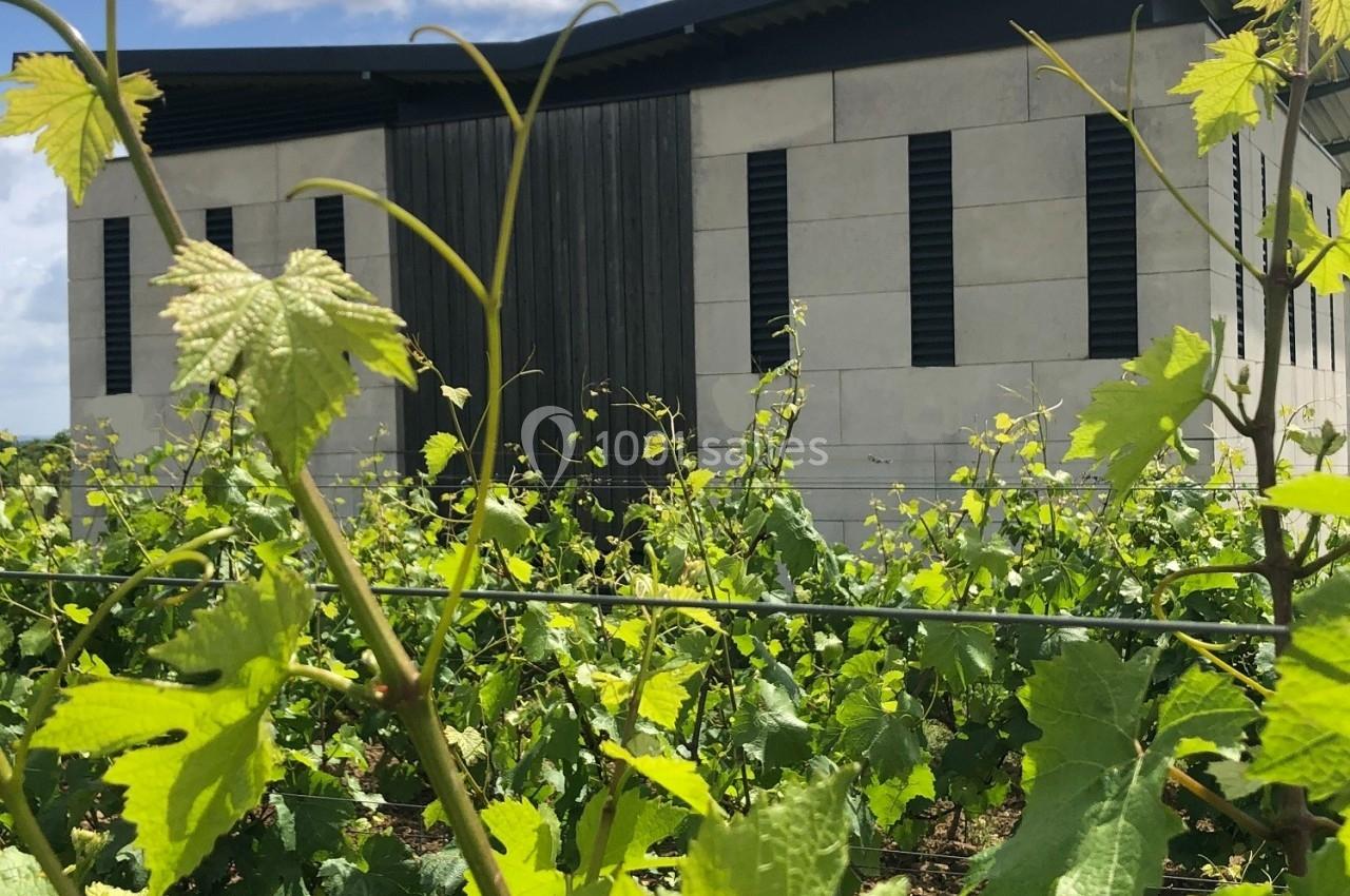 Vignes verdoyantes au premier plan avec un bâtiment moderne en arrière-plan sous un ciel partiellement nuageux.
