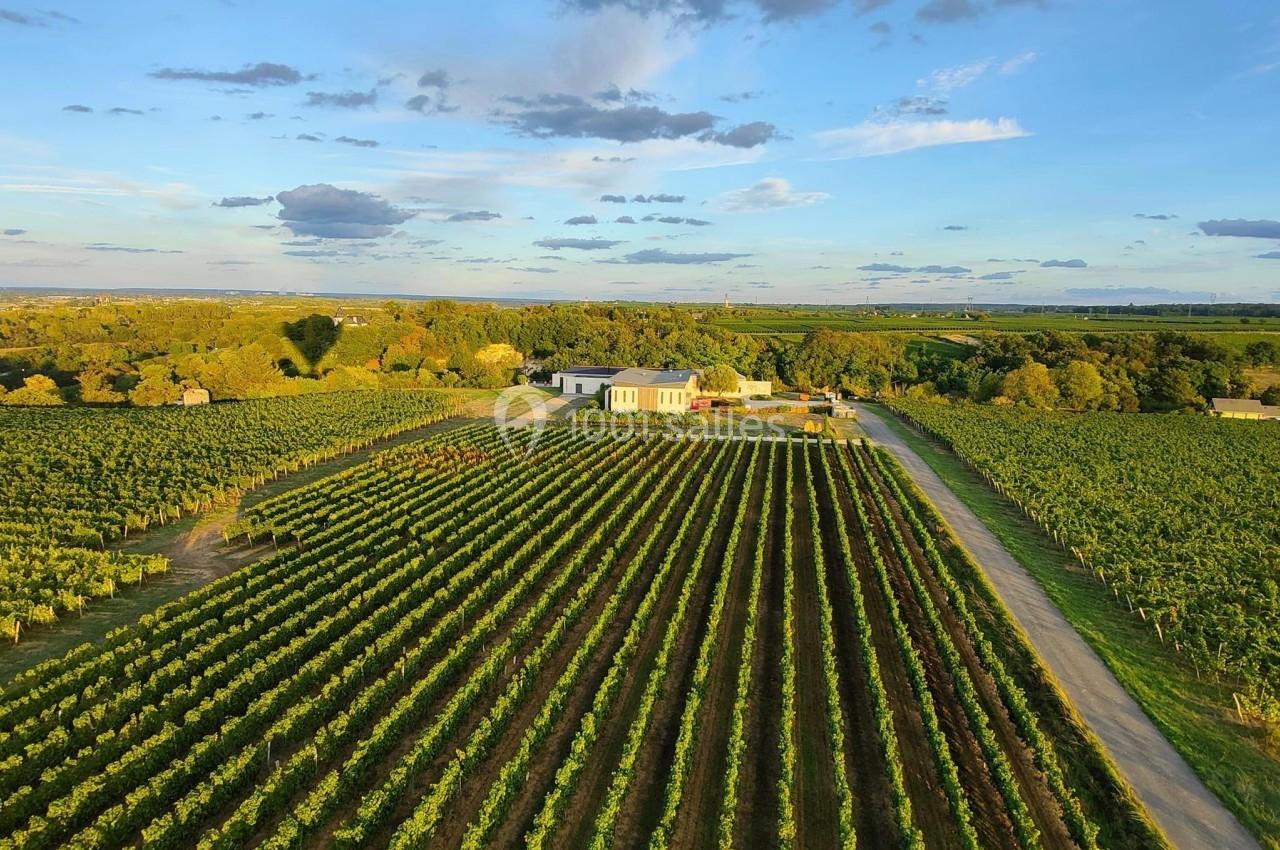Vue aérienne d'un vignoble verdoyant avec une maison au centre, entourée de champs et d'un ciel partiellement nuageux.