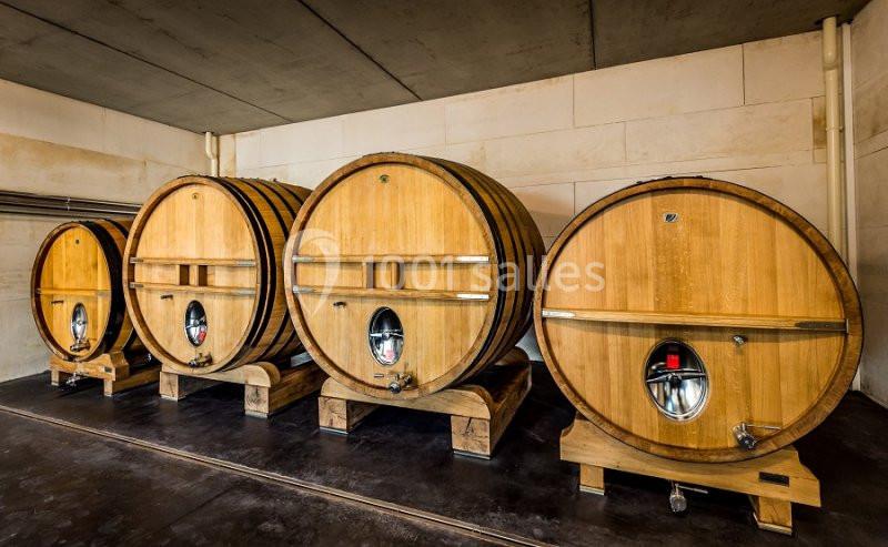 Quatre grands fûts en bois alignés dans une cave avec un sol en béton et des murs clairs.