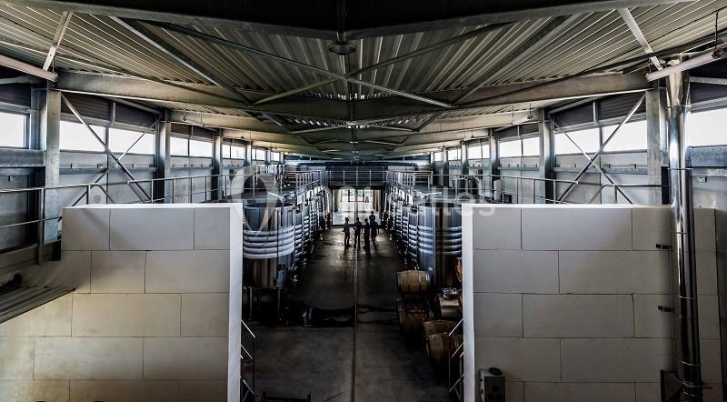 Vue intérieure d'une cave moderne avec des cuves en inox alignées et des personnes au fond de l'allée centrale.