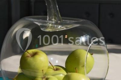 Location salle Sainte-Foy-lès-Lyon (Rhône) - Galerie Comeva #12