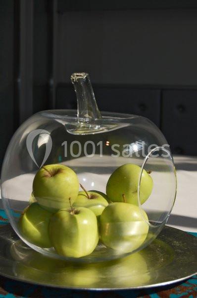 Location salle Sainte-Foy-lès-Lyon (Rhône) - Galerie Comeva #10