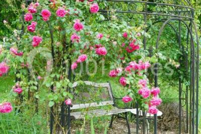 Location salle Briare (Loiret) - Domaine De La Thiau #23