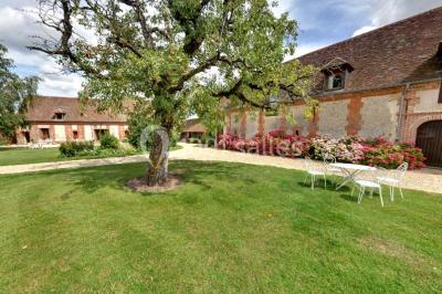 Domaine du Patis Domaine du Patis