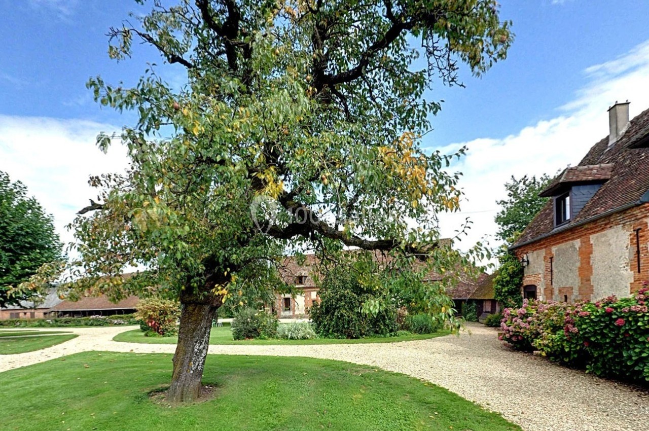 Arbre au centre d'une cour avec chemins en gravier, entouré de bâtiments en briques et d'un jardin fleuri.