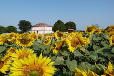 Salle de réception décorée avec des tables dressées, nappes blanches et éclairage chaleureux.