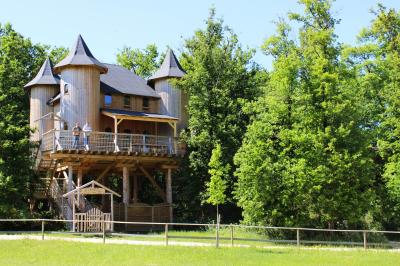 Bassin artificiel entouré de palmiers et de rochers, avec un paysage verdoyant en arrière-plan.