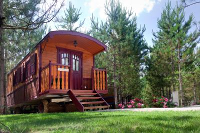Bassin artificiel entouré de palmiers et de rochers, avec un paysage verdoyant en arrière-plan.