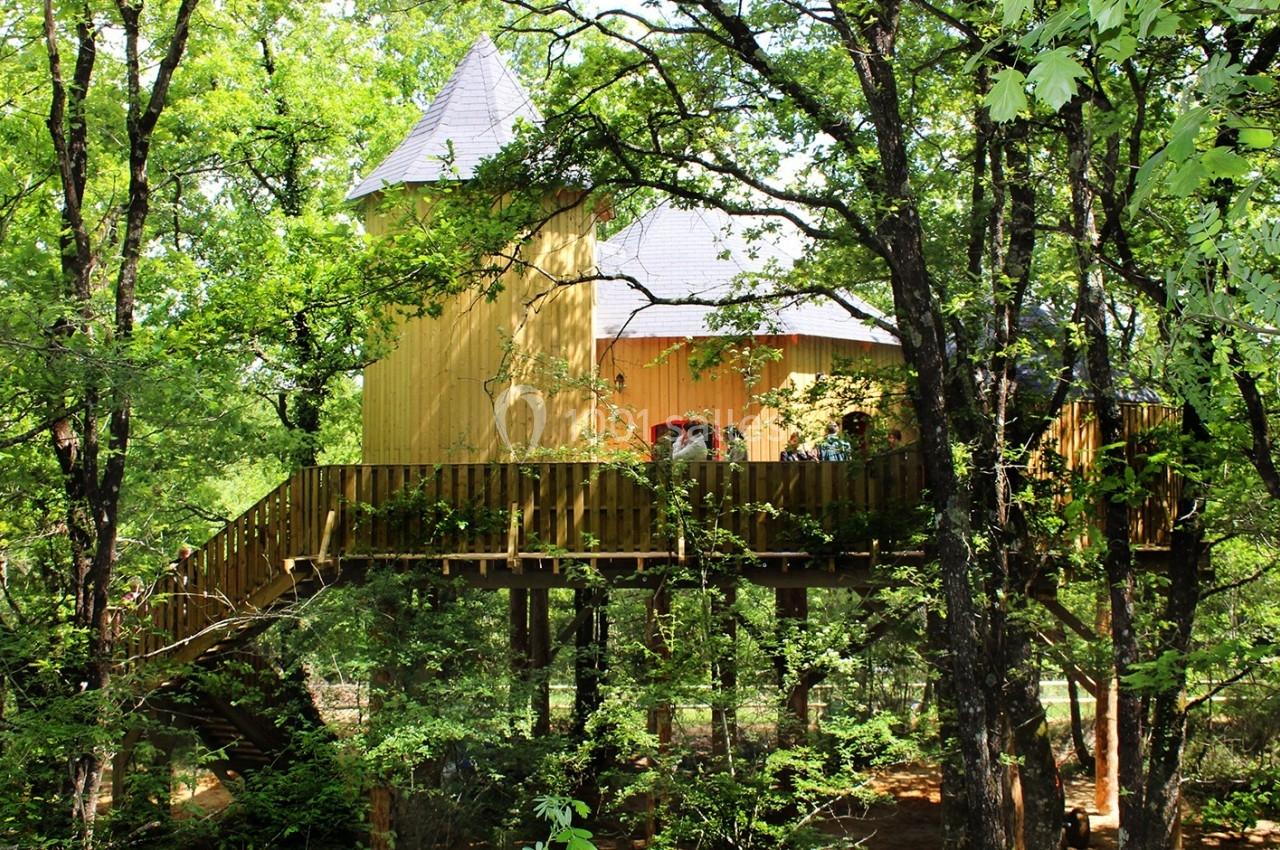 Cabane en bois perchée dans les arbres, entourée de végétation dense, avec un toit en pointe.