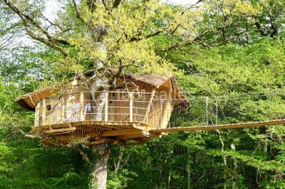 Bassin artificiel entouré de palmiers et de rochers, avec un paysage verdoyant en arrière-plan.