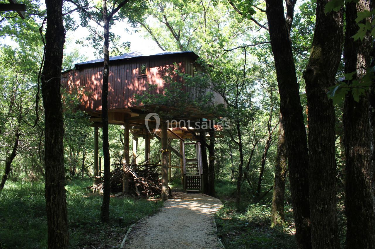 Cabane en bois sur pilotis au milieu d'une forêt verdoyante, accessible par un chemin en gravier.