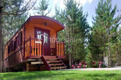 Bassin artificiel entouré de palmiers et de rochers, avec un paysage verdoyant en arrière-plan.