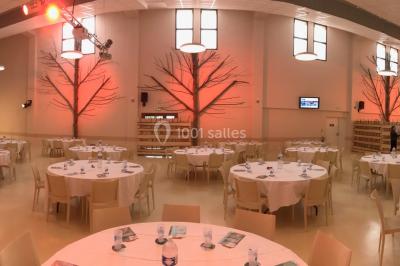 Bassin artificiel entouré de palmiers et de rochers, avec un paysage verdoyant en arrière-plan.