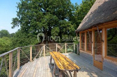 Bassin artificiel entouré de palmiers et de rochers, avec un paysage verdoyant en arrière-plan.