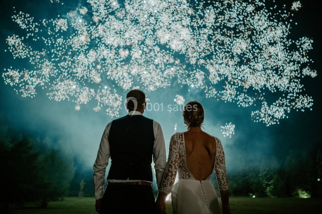 Un couple de dos regarde un feu d'artifice illuminant le ciel nocturne dans un environnement naturel.