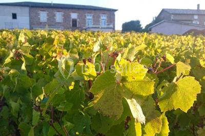 Location salle Saint-Étienne-des-Oullières (Rhône) - Les Voûtes du Clair de Néty #24
