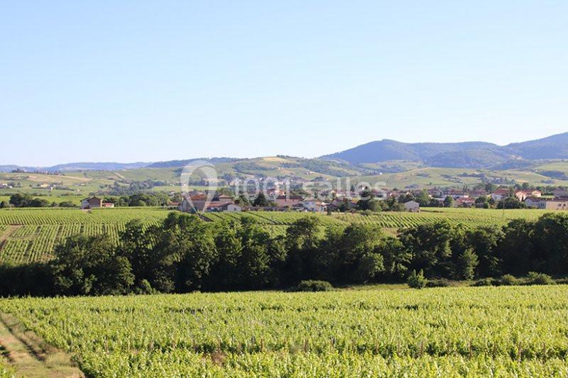 Location salle Saint-Étienne-des-Oullières (Rhône) - Les Voûtes du Clair de Néty #4