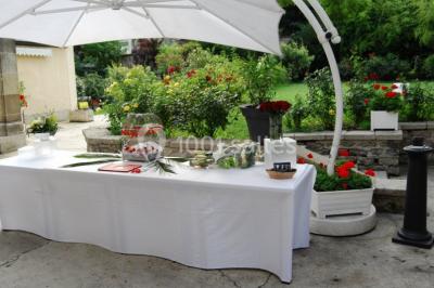 Assiette de noix de Saint-Jacques poêlées, accompagnées de légumes, agrumes et herbes fraîches sur un fond flou.