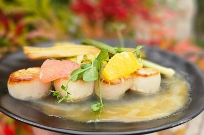 Assiette de noix de Saint-Jacques poêlées, accompagnées de légumes, agrumes et herbes fraîches sur un fond flou.