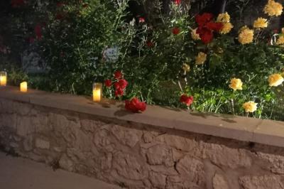 Assiette de noix de Saint-Jacques poêlées, accompagnées de légumes, agrumes et herbes fraîches sur un fond flou.