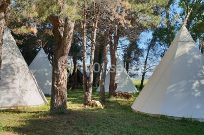 Structure en fer forgé dans un jardin, avec des invités rassemblés en arrière-plan près d'un arbre.