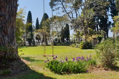 Structure en fer forgé dans un jardin, avec des invités rassemblés en arrière-plan près d'un arbre.