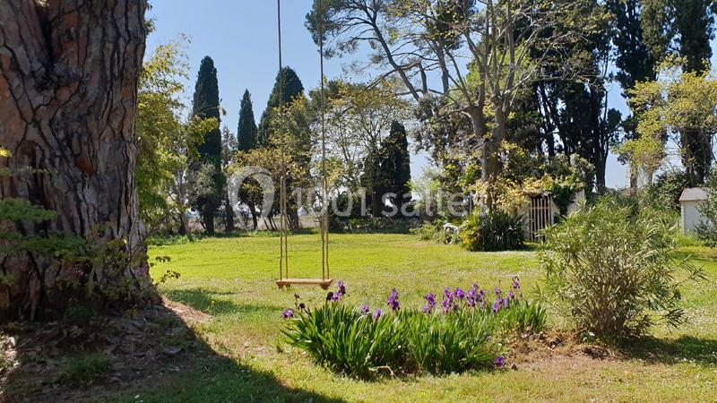 Jardin ensoleillé avec balançoire suspendue, parterre de fleurs violettes et arbres en arrière-plan.