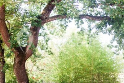 Location salle Préserville (Haute-Garonne) - Orangerie De Préserville #24