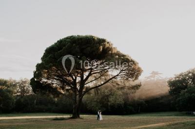 Location salle Préserville (Haute-Garonne) - Orangerie De Préserville #24