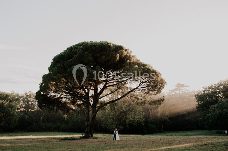Location salle Préserville (Haute-Garonne) - Orangerie De Préserville #14