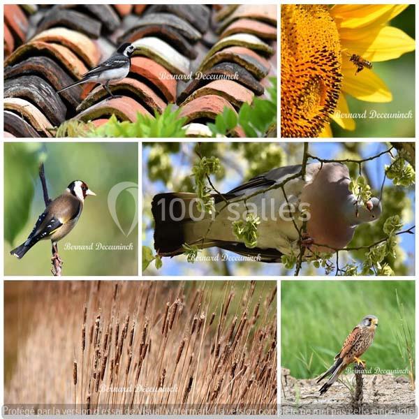 Location salle Romegoux (Charente-Maritime) - Le Moulin Du Champ #13